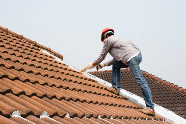 Best Gutter Installation and Repair  in Palmetto Estates, FL